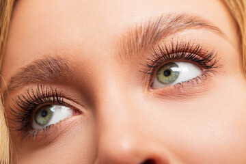 Fototapeta premium close up of eye, long thick eyelashes, makeup 