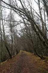 Disused railway line trail - Grantown-on-Spey - Morayshire - Scotland - UK