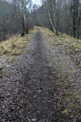 Fototapeta na wymiar Disused railway line trail - Grantown-on-Spey - Morayshire - Scotland - UK