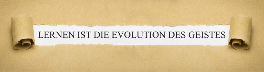 Lernen ist die Evolution des Geistes