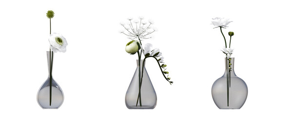 decorative flowers and plants for the interior, isolated on white background, 3D illustration, cg render