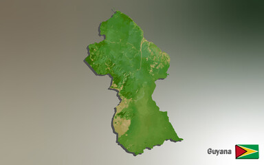 Guyana Mosaic Map