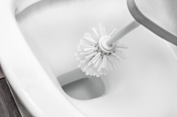 Сleaning toilet brush against lavatory pan. Close up.