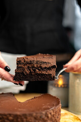 chocolate cake with chocolate