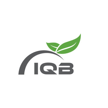 IQB letter nature logo design on white background. IQB creative initials letter leaf logo concept. IQB letter design.