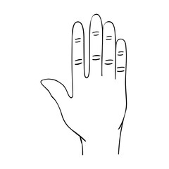 hand icon
