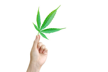 Marijuana leaf in hand PNG transparent