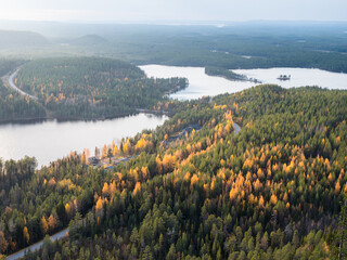 Autumn landscape with boreal forest