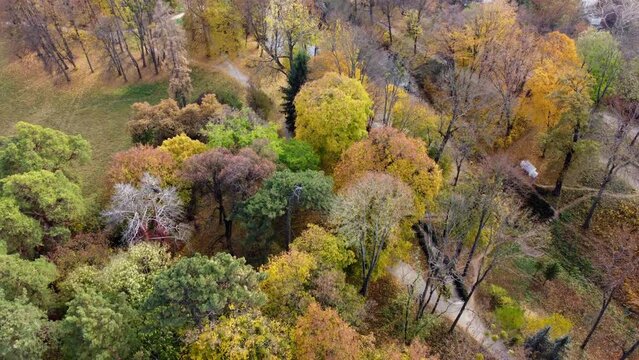 Flying over the autumn park. Many trees with yellow green and fallen leaves, lakes, people walking along dirt paths in park on autumn day. Top view. Aerial drone view. Beautiful natural background