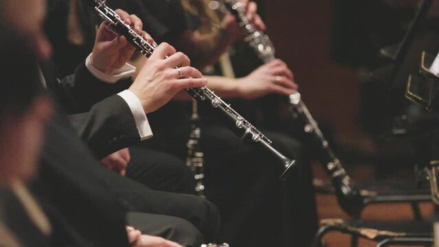 An oboe player performing during a live classical symphony music concert