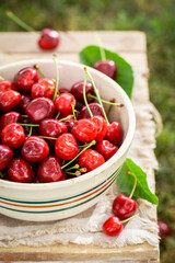 Delicious and red sweet cherries in summer garden.
