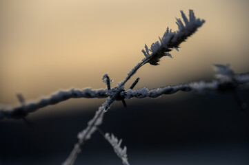 Stacheldraht mit Raureif