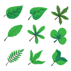 set of green leaves