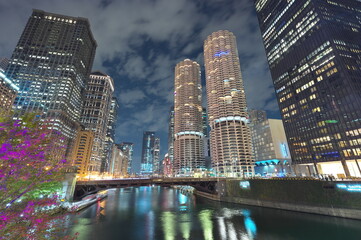 Fototapeta na wymiar シカゴの夜景