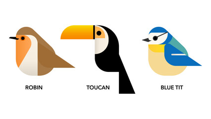 robin , toucan, blue tit , illustration of a birds vector eps jpeg png transparent background	