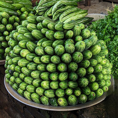 Fresh green bunch of cucumbers for sale in local market.