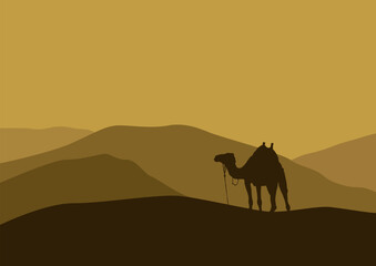 camel in the desert vector illustration