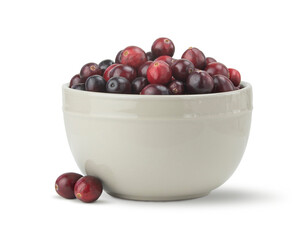 Bowl of cranberries isolated on white background