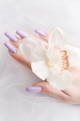 Girl's hands with delicate purple manicure and orchid flowers