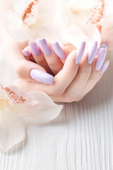 Girl's hands with delicate purple manicure and orchid flowers