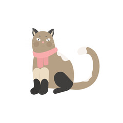 Funny cat in a scarf, pet vector illustration isolated. Siamese cat.
