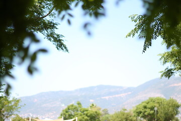 Obraz premium Summer tropical view of the mountains and sky through the foliage. Beautiful natural frame of foliage against the sky. Copy space. Selective focus