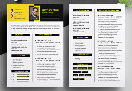 Professional Resume Design Template Layout
