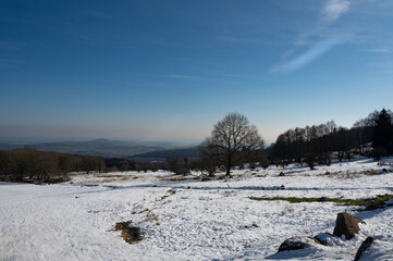 Fototapeta na wymiar Winter landscape with lots of snow