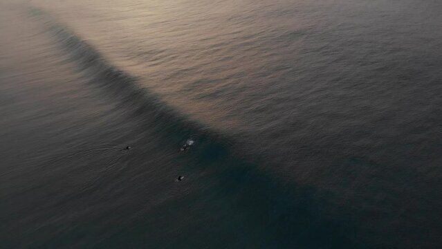Sesión de surf en fuerteventura
