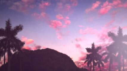 Tropical landscape and mountain with palms in sunset, motion promotion, summer and travel style background