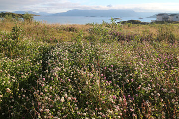 Sommarøy - Tromso - Troms county - Norway