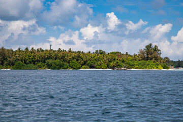 amazing tropical island with palm trees