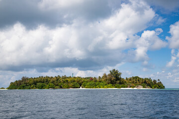 amazing tropical island with palm trees