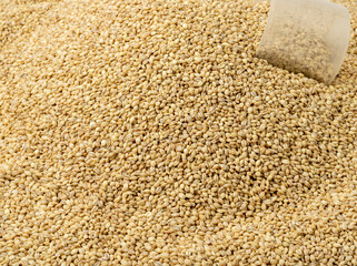 Grain prices rising due to global economic downturn