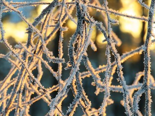 Sonnenaufgang im Winter