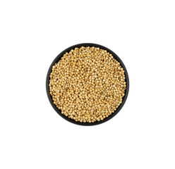 Coriander seeds in a small bowl isolated. kitchen spice design elements