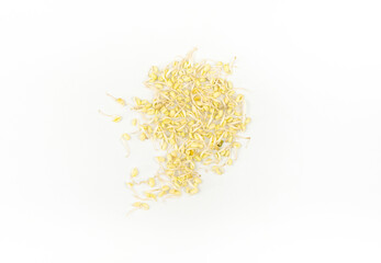 Green bean sprouts isolated for design element