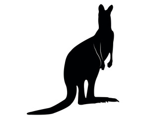 Vector flat kangaroo silhouette isolated on white background