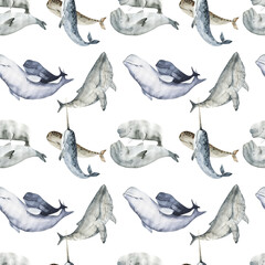watercolor whale, narwhal, dolphin pattern cute ocean animal. Watercolor cute whale, narval, dolphin pattern. Hand painting postcard with whale isolated white background. Ocean animals.