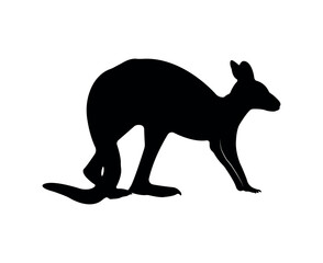 Vector flat kangaroo silhouette isolated on white background