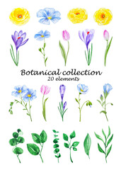 Watercolor big flowers collection botanical set cliparts isolated for wedding invitations, labes, design projects
