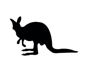 Vector flat kangaroo silhouette isolated on white background