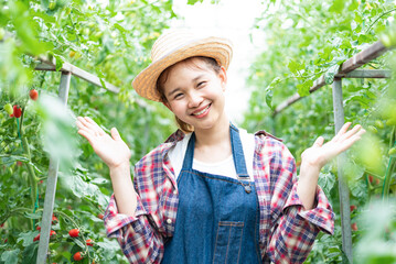 Teen girl with tomato farm business , modern farmer Analyze problems and find information on the Internet.