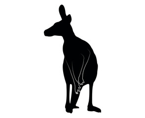 Vector flat kangaroo silhouette isolated on white background