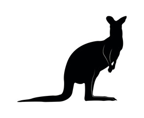 Vector flat kangaroo silhouette isolated on white background