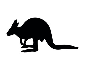 Vector flat kangaroo silhouette isolated on white background