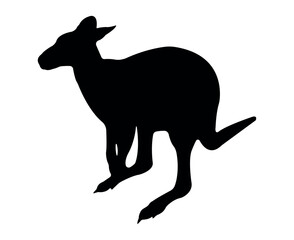 Vector flat kangaroo silhouette isolated on white background