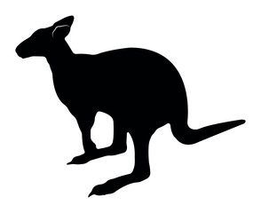 Vector flat kangaroo silhouette isolated on white background