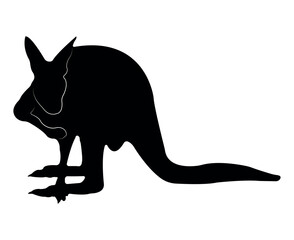 Vector flat kangaroo silhouette isolated on white background