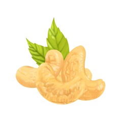 Cashew nuts in a group with two green leaves in the background, on a white background separately, digital freehand drawing.